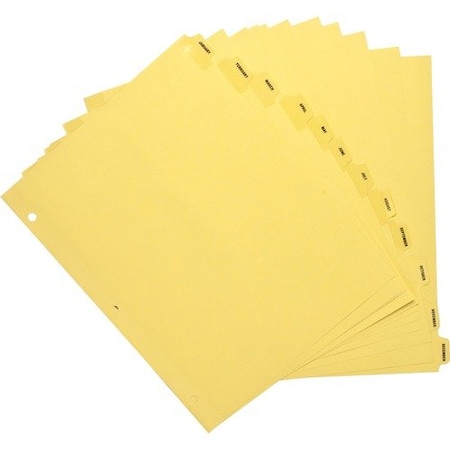 Business Source DIVIDER, INDEX, CLRTAB, MTHLY BSN01807